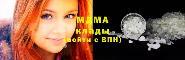 стаф Кулебаки