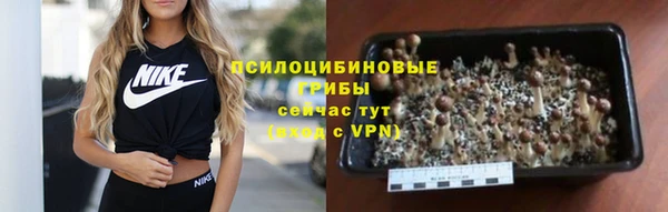 стаф Кулебаки