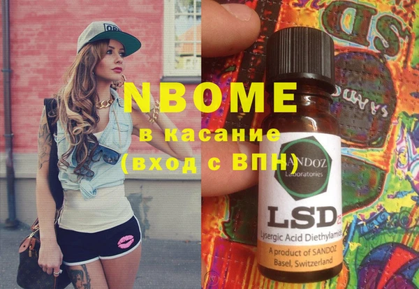 стаф Кулебаки