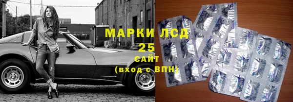 стаф Кулебаки